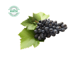 Black Grapes (Australia) - Exotic